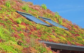 Great Plumstead living roof systems